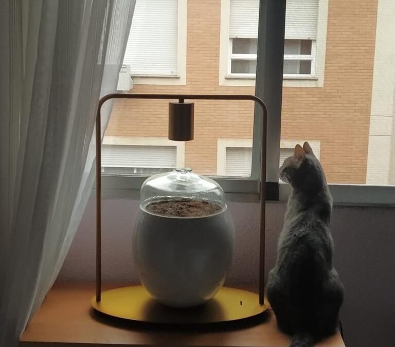 Sonia descansa en paz