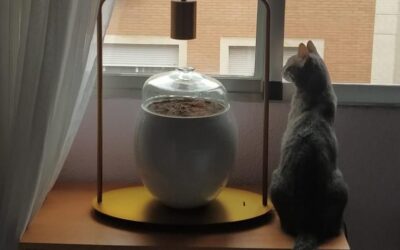 Sonia descansa en paz