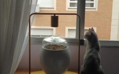 Les parents de Sonia, Sebastián et Francisca, informés de Semper Vivens, nous ont contactés.