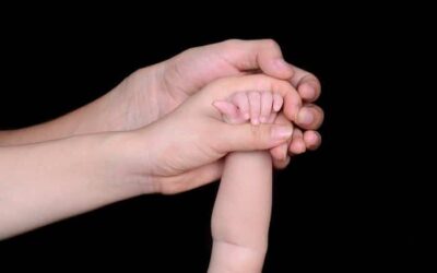 «Semper Vivens: Un Cine Épico del Amor Incondicional»